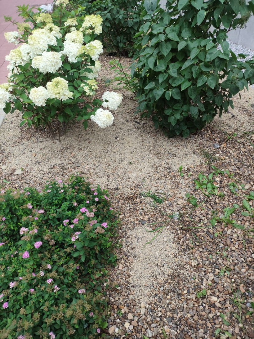 a5040e6d-5468-436c-95eb-6769d44062f7.jpg